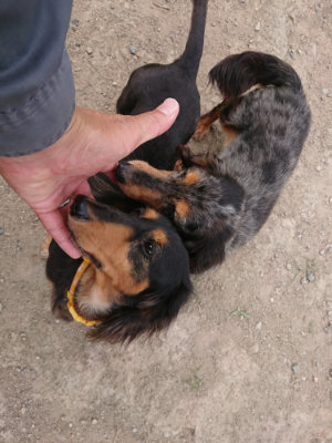 f:id:roukenhome-ann:20190806230150j:plain f:id:roukenhome-ann:20190806230150j:plain