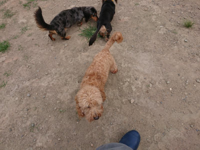 f:id:roukenhome-ann:20190806230214j:plain f:id:roukenhome-ann:20190806230214j:plain