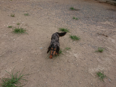f:id:roukenhome-ann:20190806230223j:plain f:id:roukenhome-ann:20190806230223j:plain