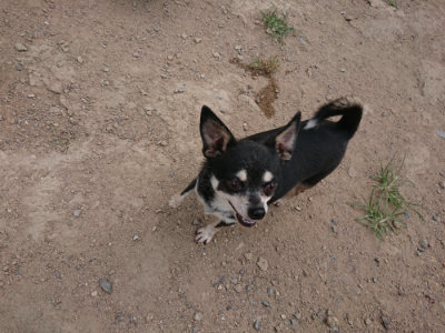 f:id:roukenhome-ann:20190806230234j:plain f:id:roukenhome-ann:20190806230234j:plain