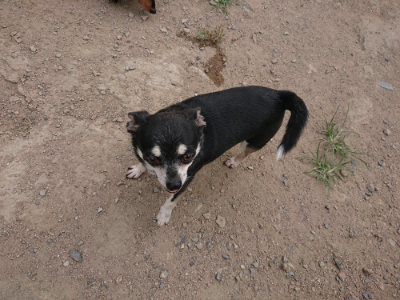 f:id:roukenhome-ann:20190806230249j:plain f:id:roukenhome-ann:20190806230249j:plain