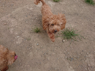 f:id:roukenhome-ann:20190806230311j:plain f:id:roukenhome-ann:20190806230311j:plain