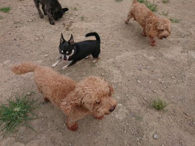 f:id:roukenhome-ann:20190806230355j:plain f:id:roukenhome-ann:20190806230355j:plain