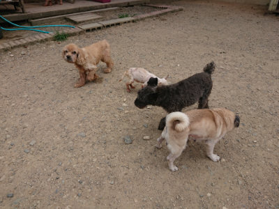 f:id:roukenhome-ann:20190806230513j:plain f:id:roukenhome-ann:20190806230513j:plain