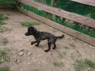 f:id:roukenhome-ann:20190806230521j:plain f:id:roukenhome-ann:20190806230521j:plain