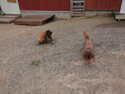 f:id:roukenhome-ann:20190806230621j:plain f:id:roukenhome-ann:20190806230621j:plain