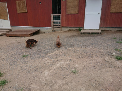 f:id:roukenhome-ann:20190807051848j:plain f:id:roukenhome-ann:20190807051848j:plain