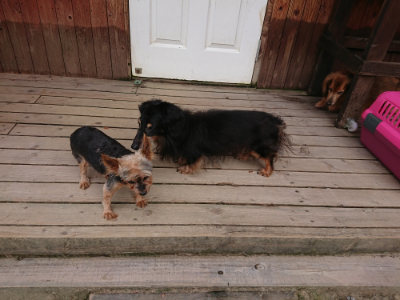 f:id:roukenhome-ann:20190807051852j:plain f:id:roukenhome-ann:20190807051852j:plain