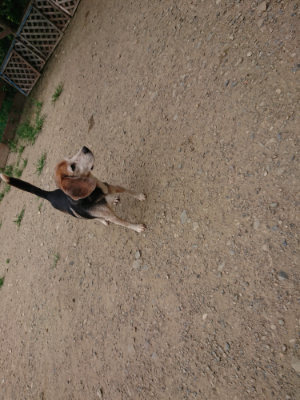 f:id:roukenhome-ann:20190807051904j:plain f:id:roukenhome-ann:20190807051904j:plain
