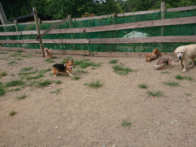 f:id:roukenhome-ann:20190807051929j:plain f:id:roukenhome-ann:20190807051929j:plain