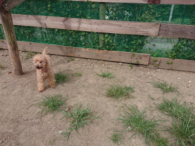 f:id:roukenhome-ann:20190807051948j:plain f:id:roukenhome-ann:20190807051948j:plain