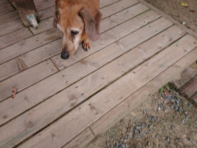 f:id:roukenhome-ann:20190807051953j:plain f:id:roukenhome-ann:20190807051953j:plain