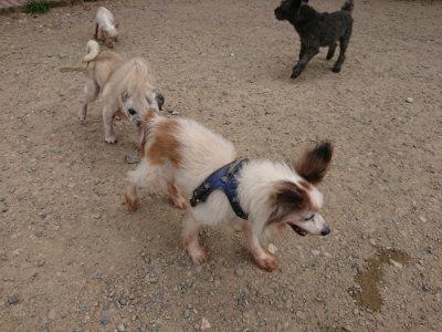 f:id:roukenhome-ann:20190807051959j:plain f:id:roukenhome-ann:20190807051959j:plain