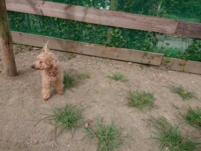 f:id:roukenhome-ann:20190807052005j:plain f:id:roukenhome-ann:20190807052005j:plain