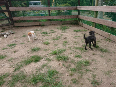 f:id:roukenhome-ann:20190807052040j:plain f:id:roukenhome-ann:20190807052040j:plain