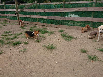 f:id:roukenhome-ann:20190807052100j:plain f:id:roukenhome-ann:20190807052100j:plain
