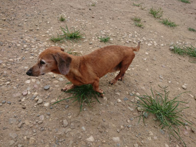 f:id:roukenhome-ann:20190807052127j:plain f:id:roukenhome-ann:20190807052127j:plain