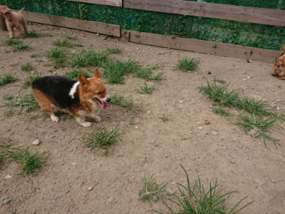 f:id:roukenhome-ann:20190807052134j:plain f:id:roukenhome-ann:20190807052134j:plain