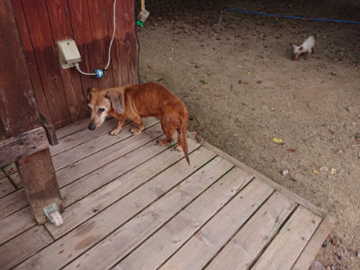 f:id:roukenhome-ann:20190807052139j:plain f:id:roukenhome-ann:20190807052139j:plain