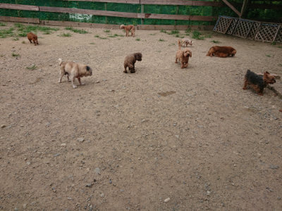 f:id:roukenhome-ann:20190807052145j:plain f:id:roukenhome-ann:20190807052145j:plain