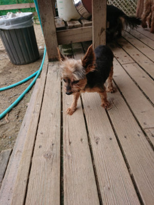f:id:roukenhome-ann:20190807052350j:plain f:id:roukenhome-ann:20190807052350j:plain