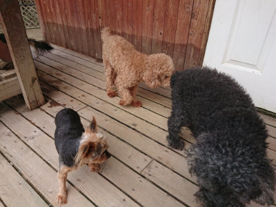 f:id:roukenhome-ann:20190807052412j:plain f:id:roukenhome-ann:20190807052412j:plain