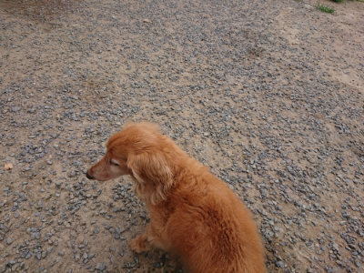 f:id:roukenhome-ann:20190807052435j:plain f:id:roukenhome-ann:20190807052435j:plain