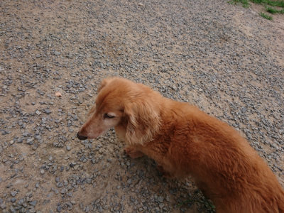 f:id:roukenhome-ann:20190807052441j:plain f:id:roukenhome-ann:20190807052441j:plain
