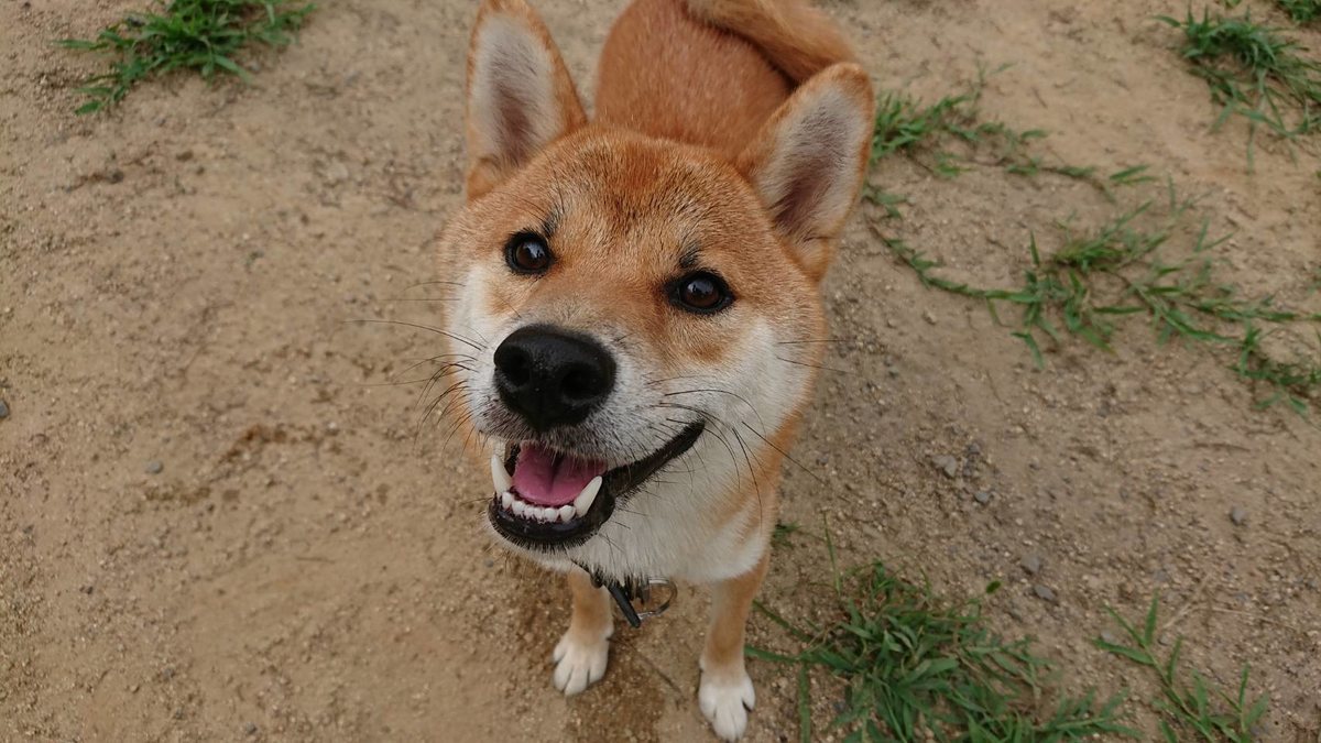 f:id:roukenhome-ann:20190807102656j:plain