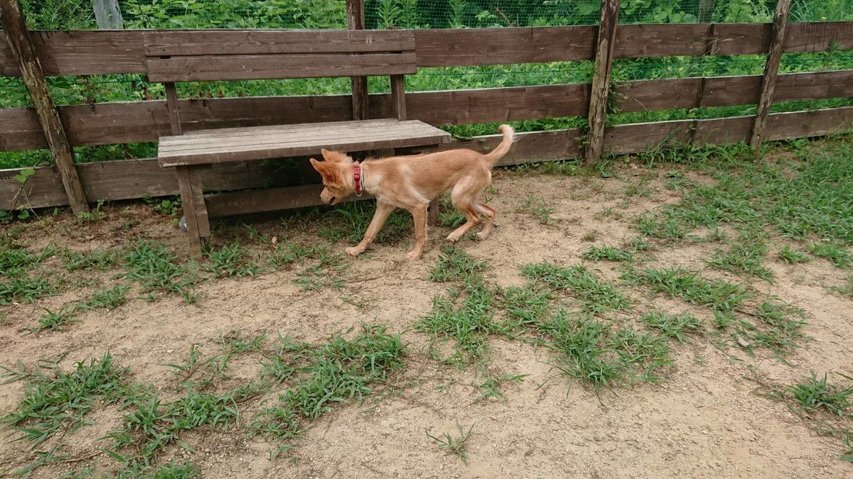 f:id:roukenhome-ann:20190807102734j:plain