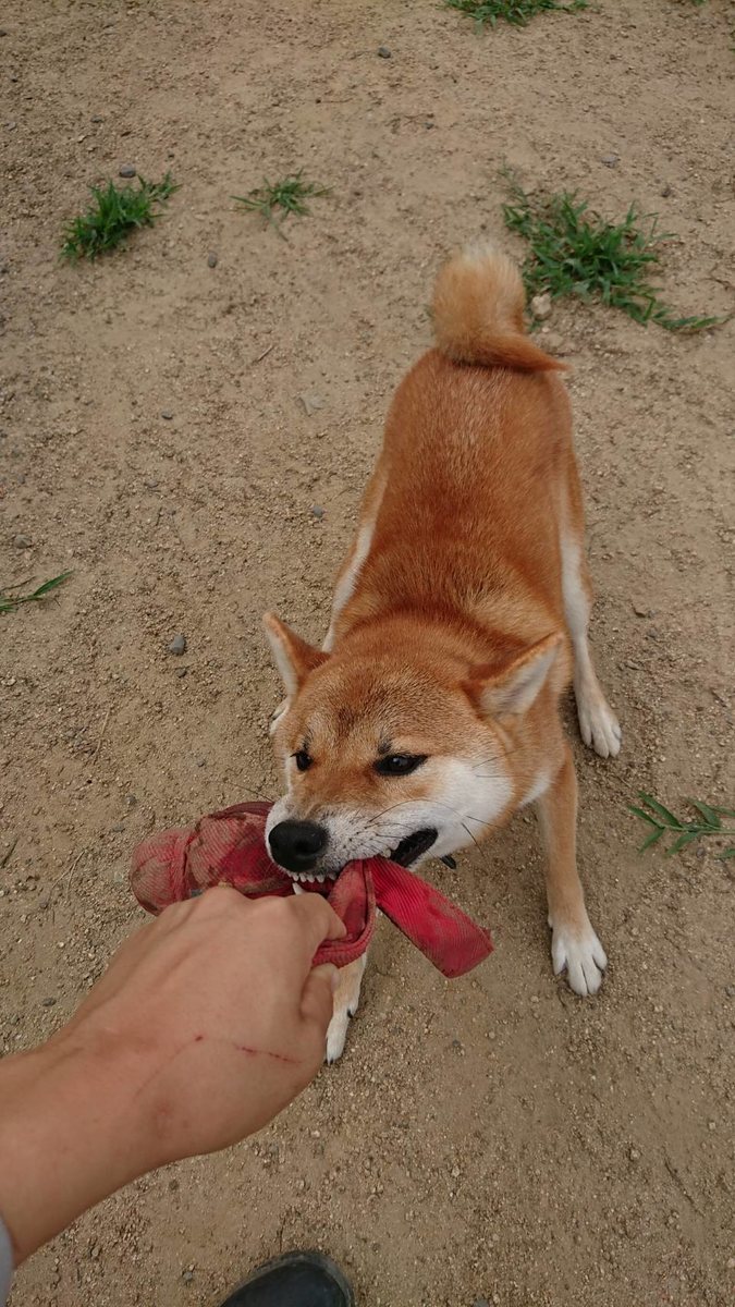 f:id:roukenhome-ann:20190807103123j:plain
