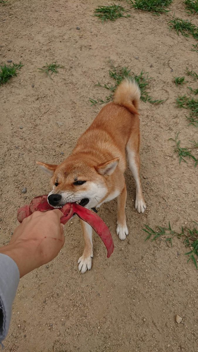 f:id:roukenhome-ann:20190807103219j:plain