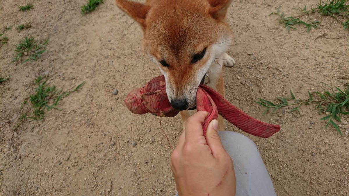 f:id:roukenhome-ann:20190807103304j:plain