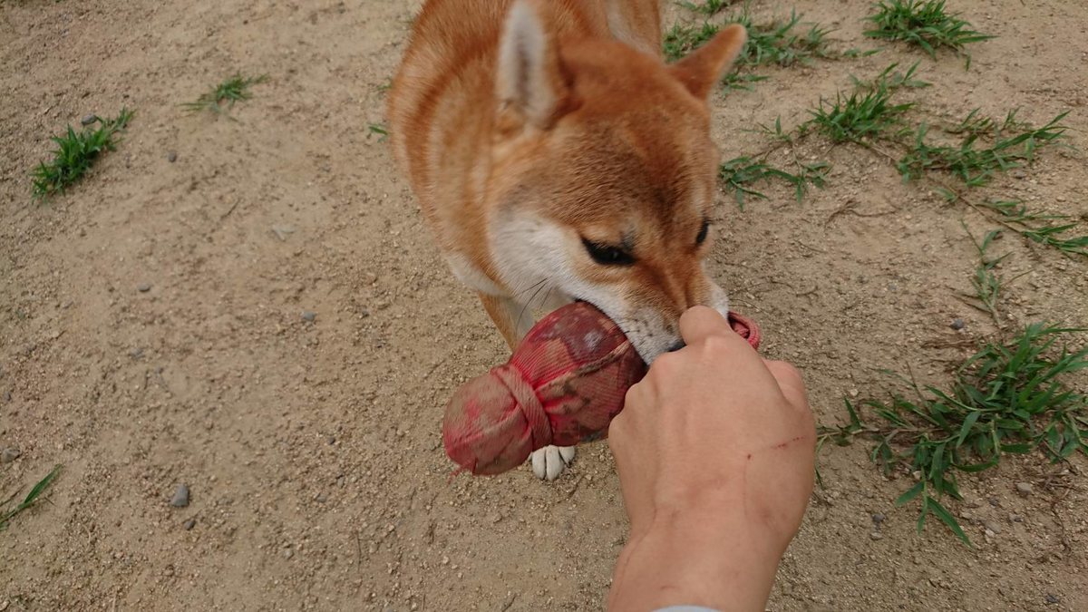 f:id:roukenhome-ann:20190807103349j:plain