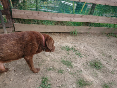 f:id:roukenhome-ann:20190807145920j:plain
