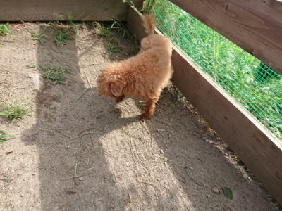 f:id:roukenhome-ann:20190807150009j:plain