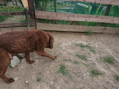 f:id:roukenhome-ann:20190807150027j:plain