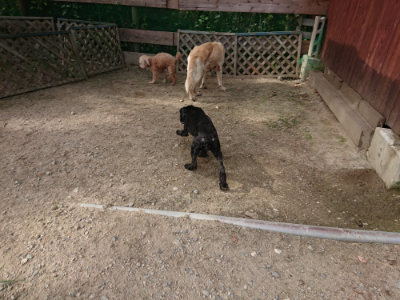 f:id:roukenhome-ann:20190807150501j:plain