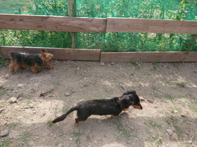 f:id:roukenhome-ann:20190807150616j:plain