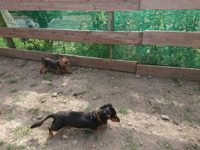 f:id:roukenhome-ann:20190807150814j:plain