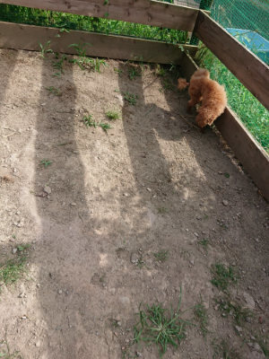f:id:roukenhome-ann:20190807151131j:plain