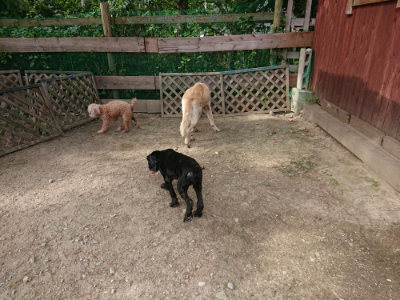 f:id:roukenhome-ann:20190807151302j:plain