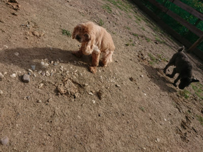 f:id:roukenhome-ann:20190807151456j:plain