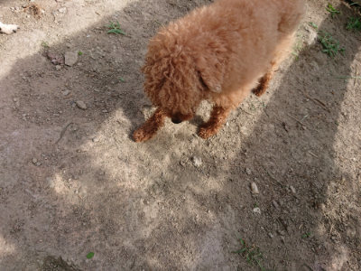 f:id:roukenhome-ann:20190807151649j:plain