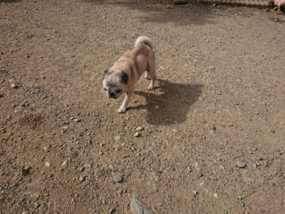 f:id:roukenhome-ann:20190807151957j:plain
