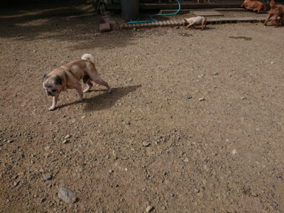 f:id:roukenhome-ann:20190807152132j:plain