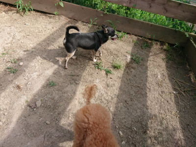 f:id:roukenhome-ann:20190807152149j:plain