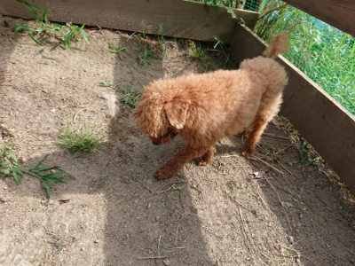 f:id:roukenhome-ann:20190807152224j:plain