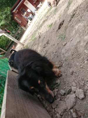f:id:roukenhome-ann:20190807172000j:plain