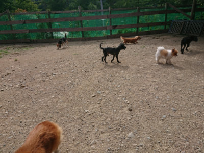 f:id:roukenhome-ann:20190807172005j:plain